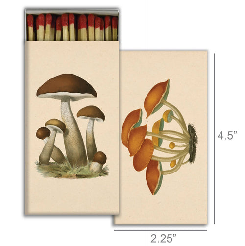 Mushrooms Matchbox