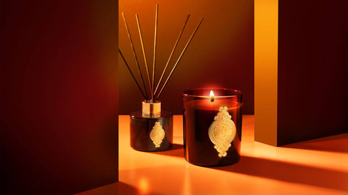 TAÏGA | 10 oz, Boxed |  Luxury Soy Candle