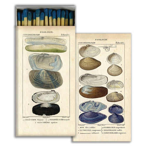 Seashell Specimens Matchbox