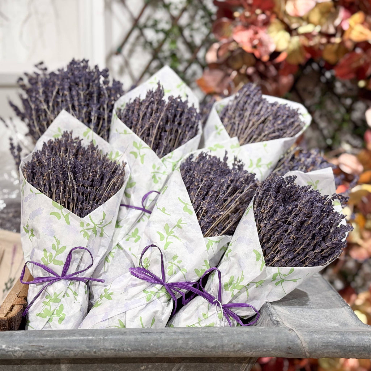French Lavender Wrapped In Tissue - Lavender Fields