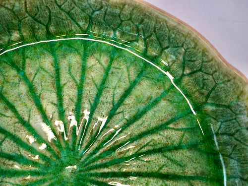 Costa Nova Riviera Tomate Water Lily Bowl