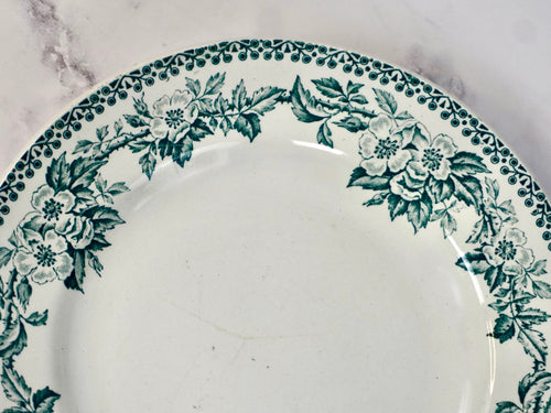 Antique Guadeloupe Pattern Salade Plates