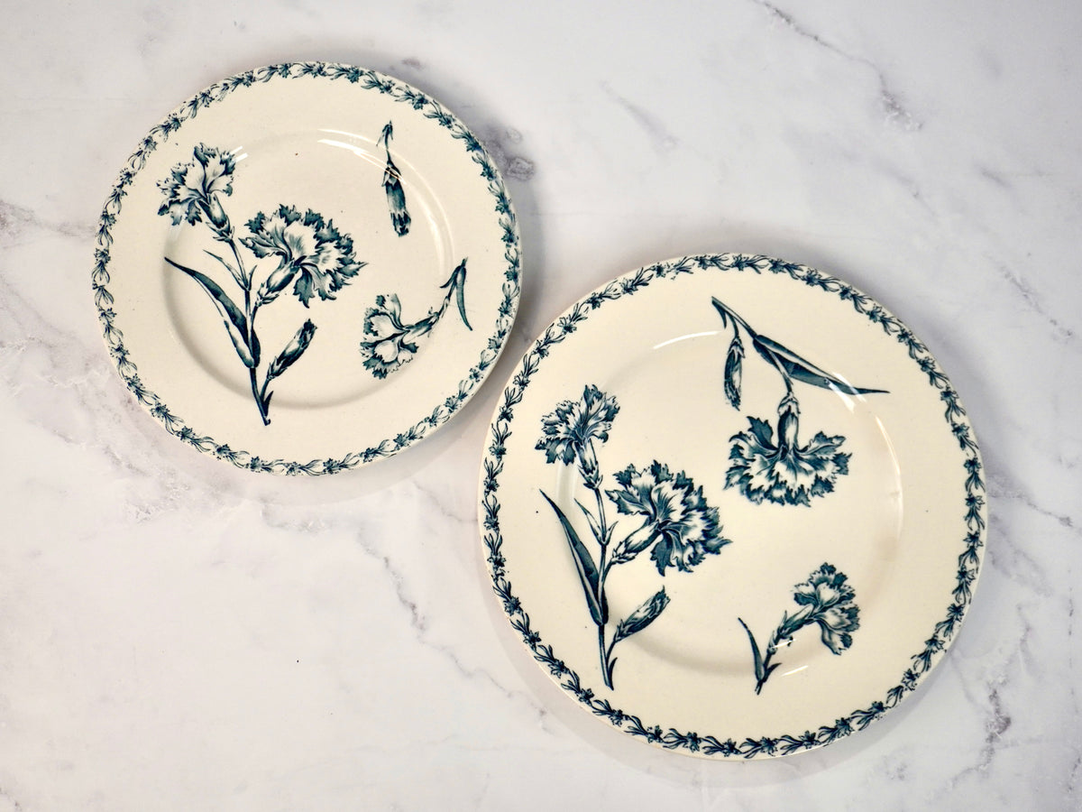 Carnation Dinner Plates