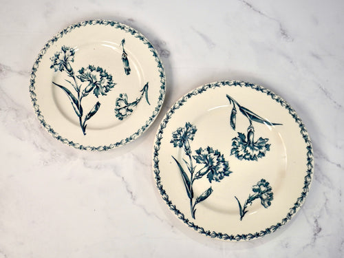 Carnation Dinner Plates