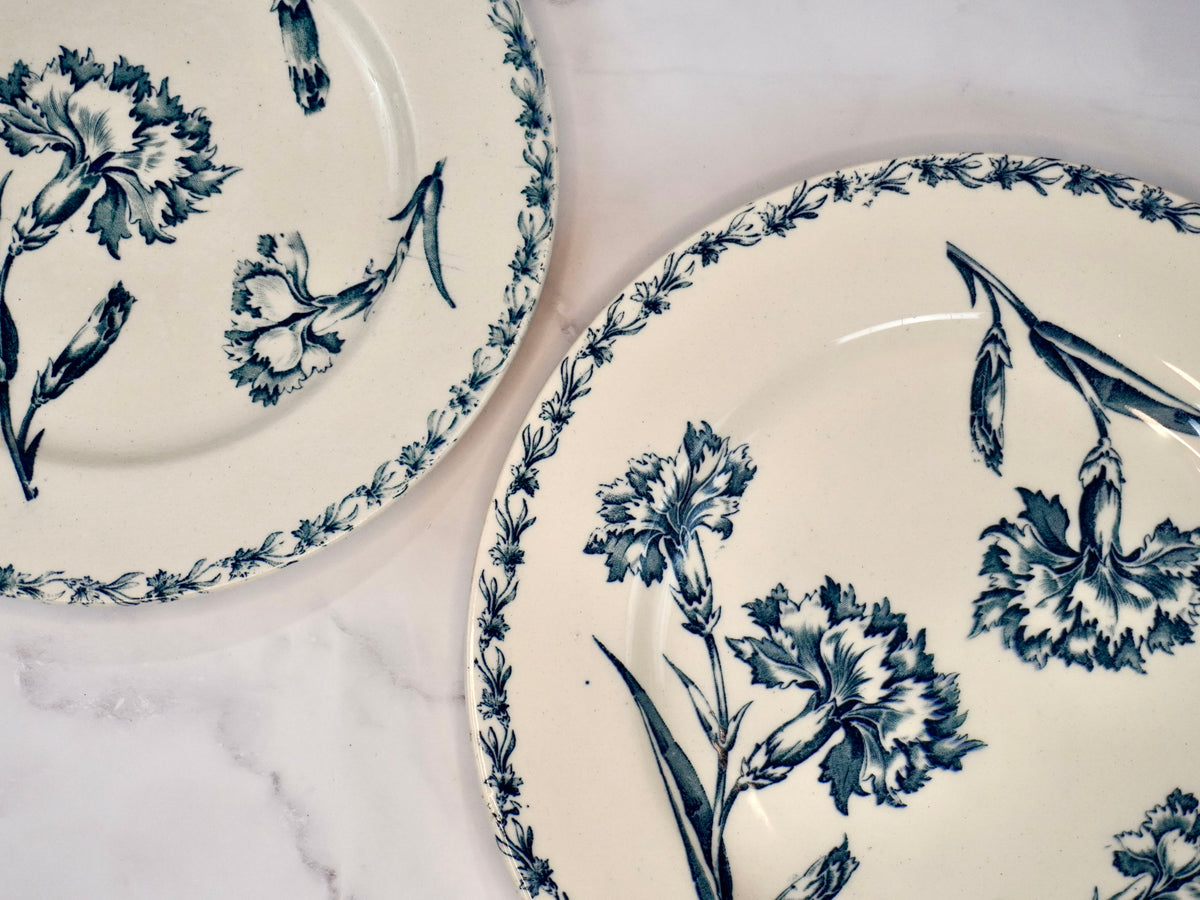 Carnation Dinner Plates