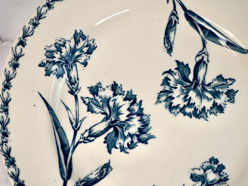 Carnation Dinner Plates