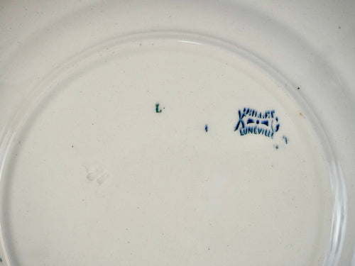 Carnation Dinner Plates