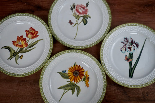 Raymond Waites Hampton Garden Dinner Plates