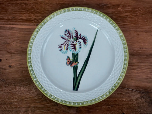 Raymond Waites Hampton Garden Dinner Plates