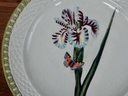 Raymond Waites Hampton Garden Dinner Plates