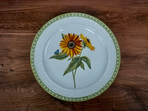 Raymond Waites Hampton Garden Dinner Plates