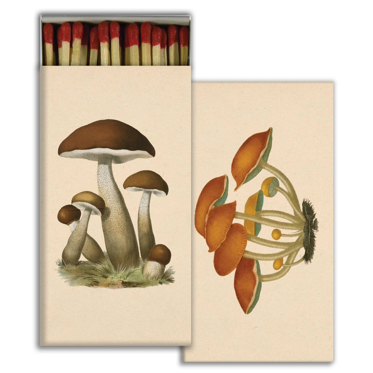 Mushrooms Matchbox