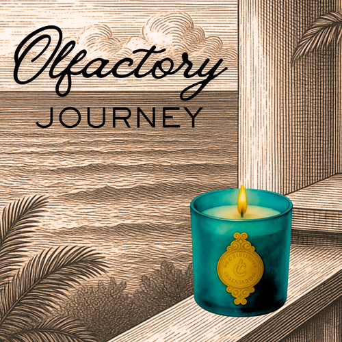 INDOCHINE | 10 oz, Boxed | Luxury Soy candle