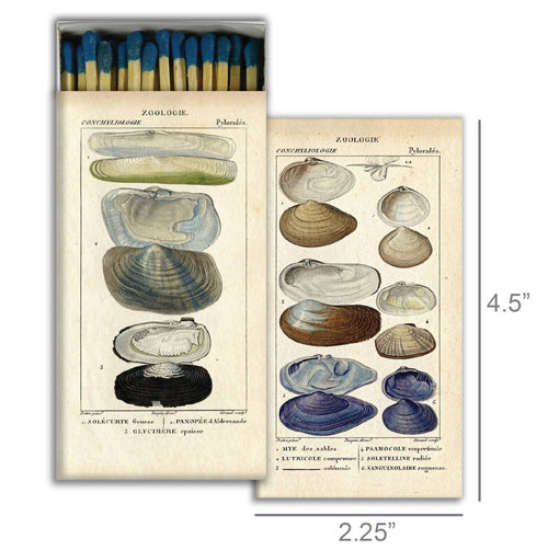 Seashell Specimens Matchbox